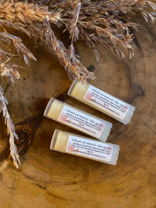 Tallow Lip Balm