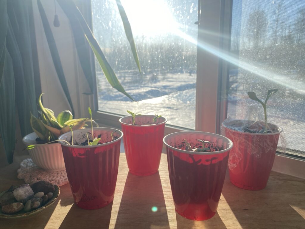 Purpose And Clarity In The Mundane Everyday Img 1932 1024x768