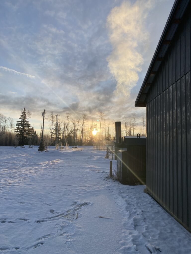 Purpose And Clarity In The Mundane Everyday Img 2046 768x1024