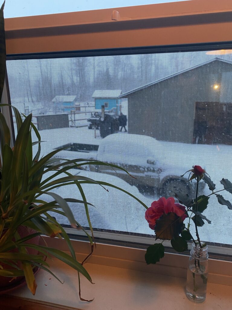 Purpose And Clarity In The Mundane Everyday Img 2069 768x1024