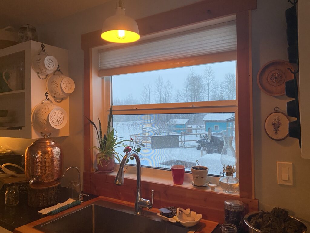 The Five Thing Rule (for when you’re overwhelmed) Img 2071 1024x768