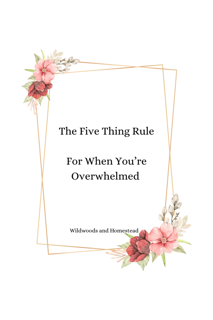 The Five Thing Rule (for when you’re overwhelmed) Img 2157 683x1024