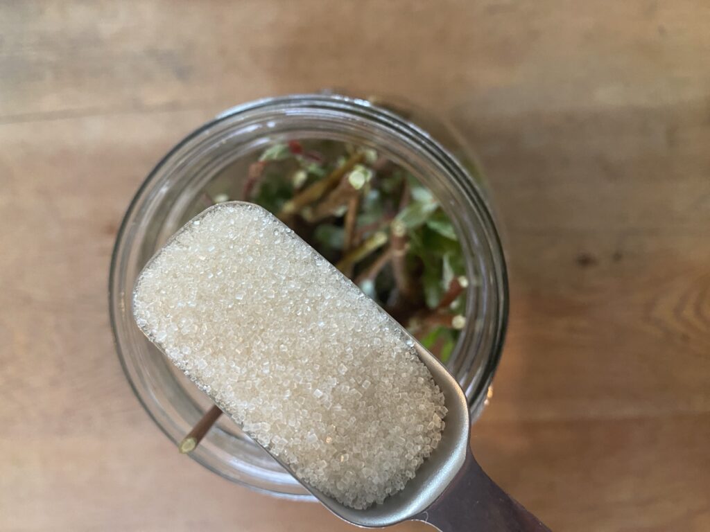 DIY Rooting Hormone Fertilizer Img 3132 1024x768