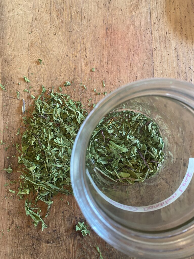 Medicinal and Culinary Uses of Dandelion Img 3138 768x1024