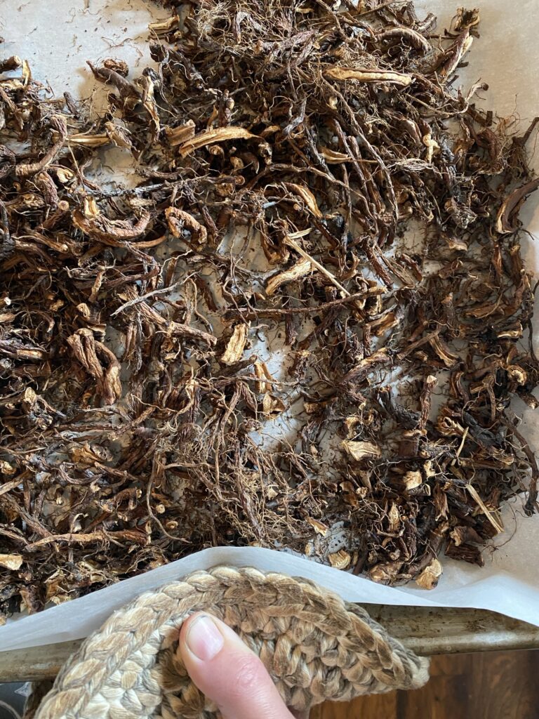 Medicinal and Culinary Uses of Dandelion Img 3139 768x1024