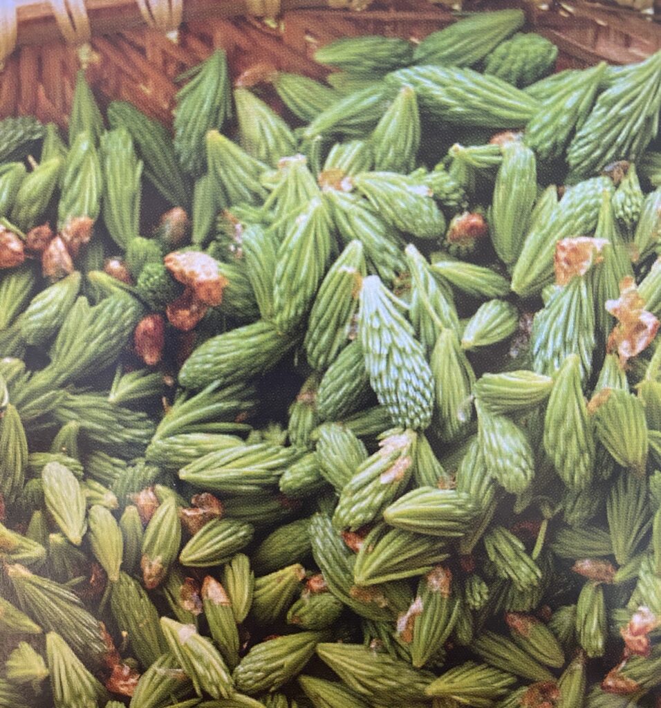 Spruce Tip Salt Img 3256 956x1024