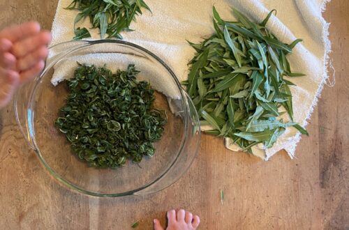 Ivan Chai Tea img 3514