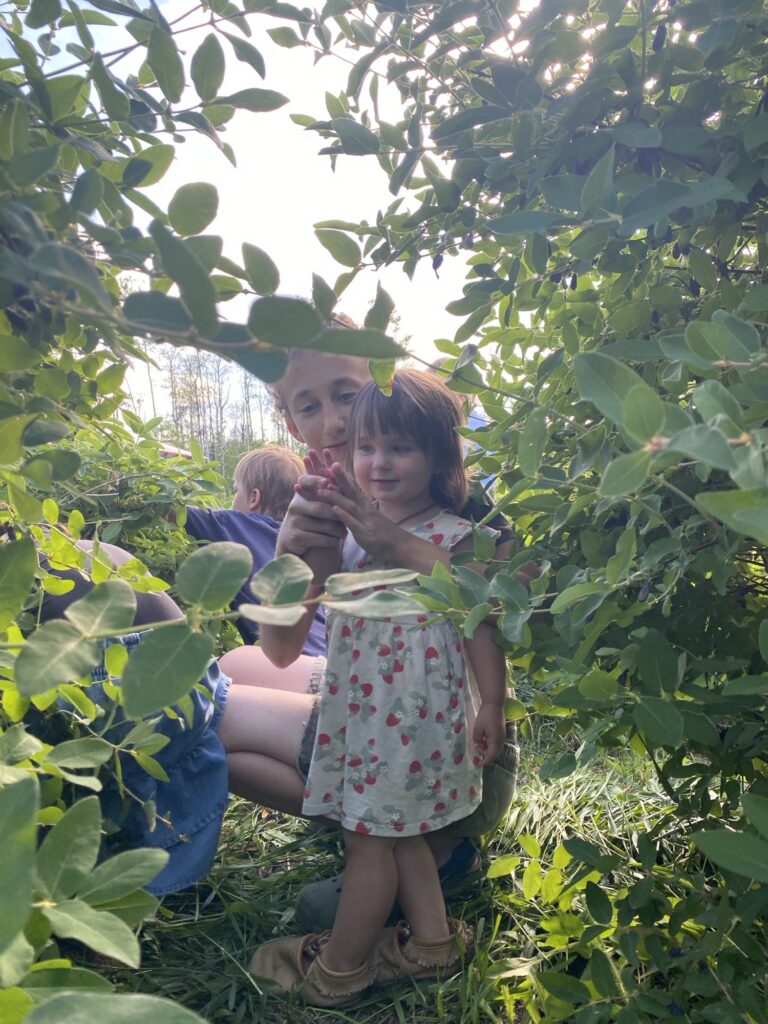 Img 3677 768x1024