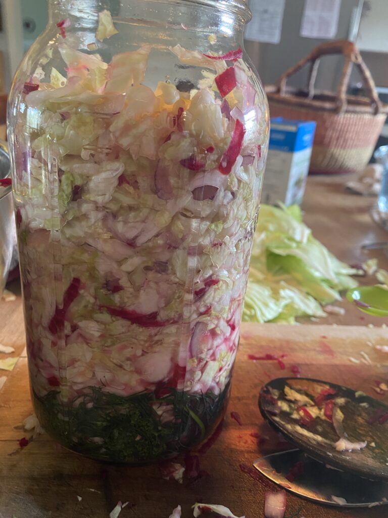 Fermented Sauerkraut Img 3576 768x1024