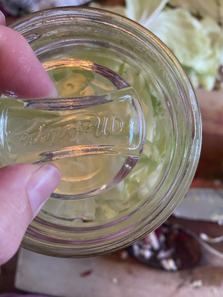 Fermented Sauerkraut Img 3580 768x1024