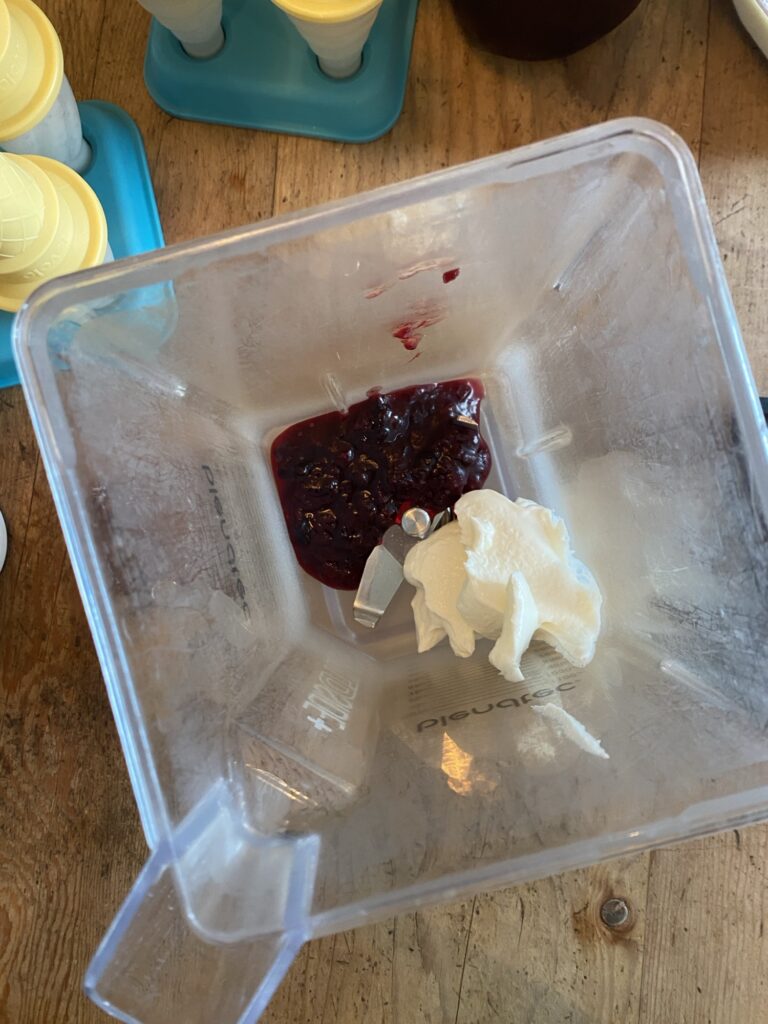 Homemade Popsicles We’re Making This Summer Img 4019 768x1024