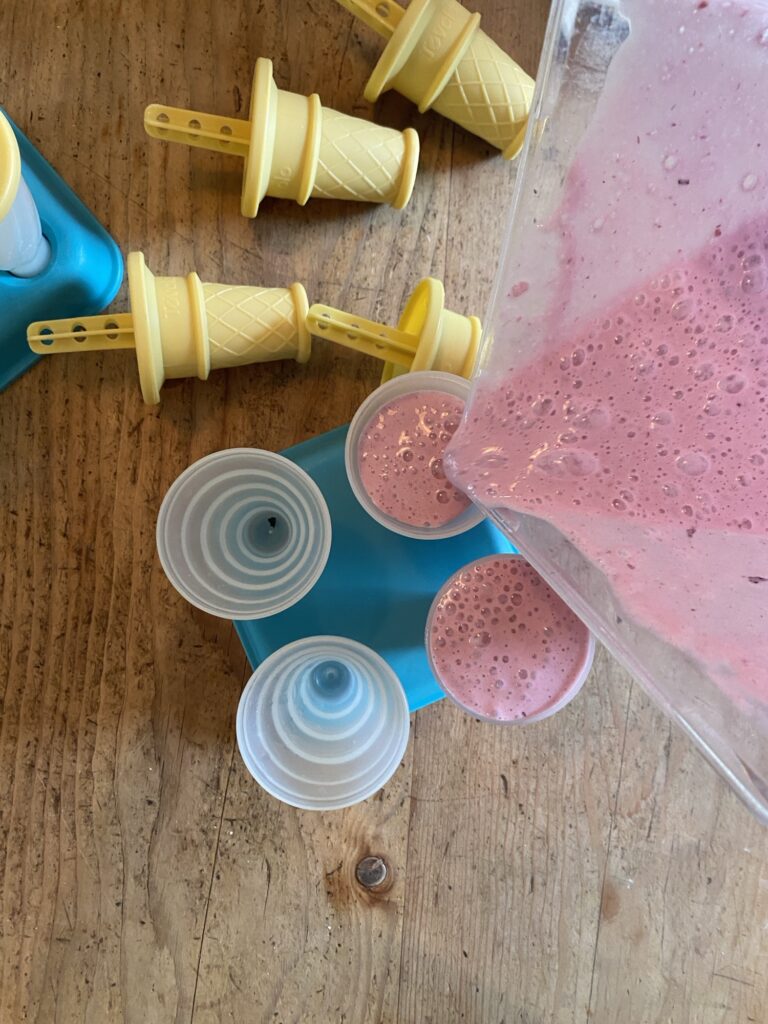 Homemade Popsicles We’re Making This Summer Img 4022 768x1024